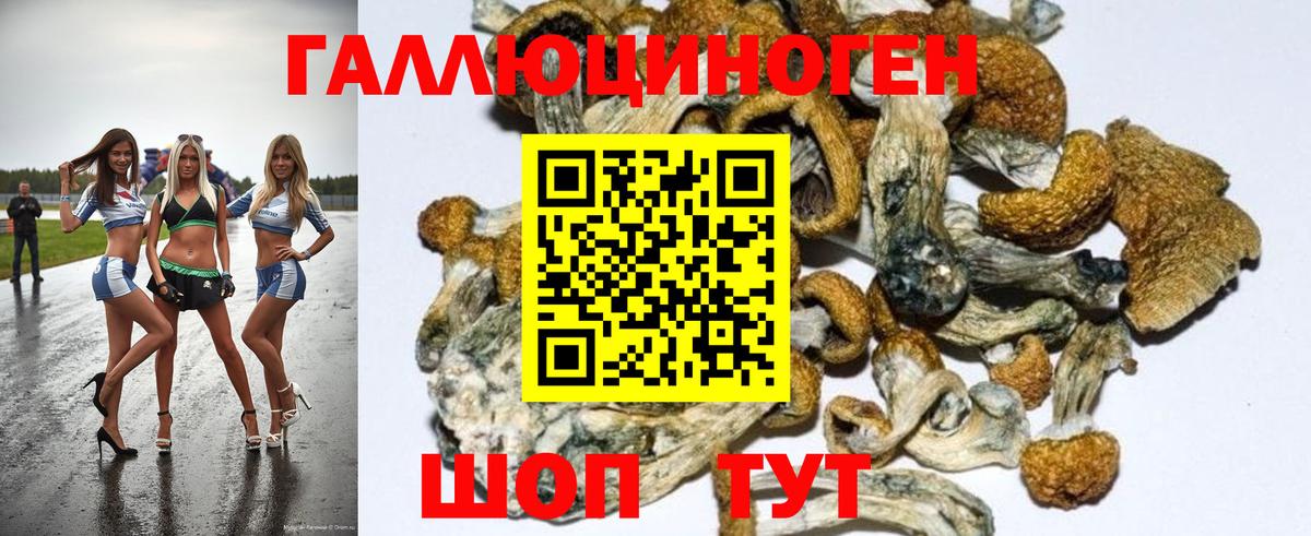 Архангельск  Псилоцибиновые грибы Magic Shrooms  купить наркоту  Галлюциногенные грибы ЛСД  Вход с VPN 
