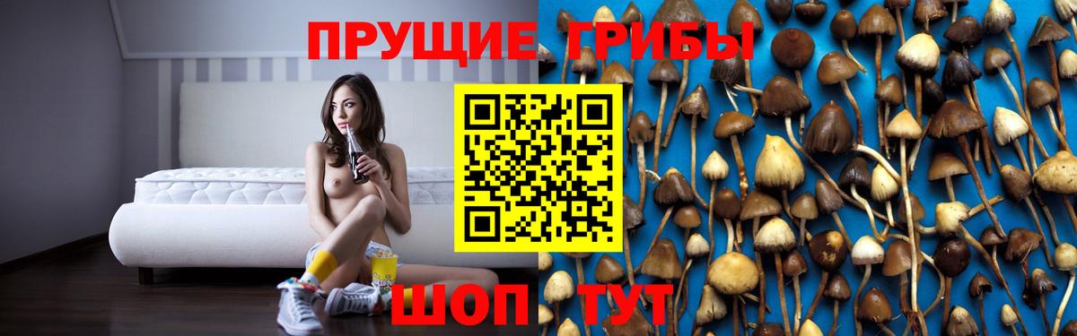 Галлюциногенные грибы MAGIC MUSHROOMS Архангельск
